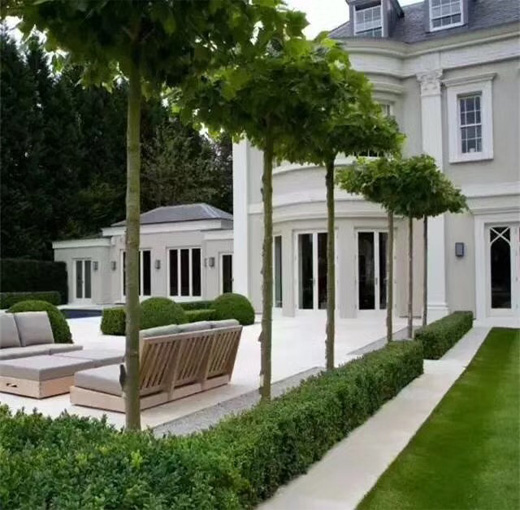 湖北綠怡草坪案例